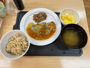 大人用のおうぎランチ
