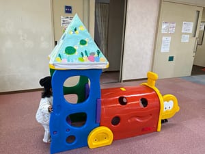 アッピーランド