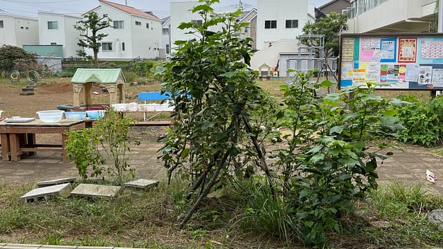 聖学院みどり幼稚園の園庭