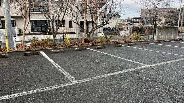 こんばの森